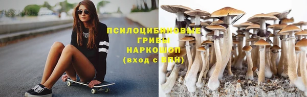 2c-b Киреевск
