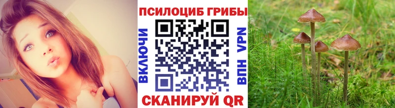 Купить  Хасавюрт  Псилоцибиновые грибы прущие грибы 
