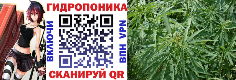 Марихуана тримм  Купить  Хасавюрт 